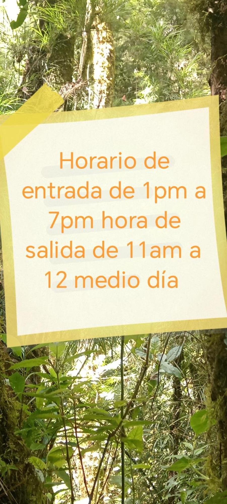Miriam'S Quetzals Lodge San Gerardo de Dota Exterior foto